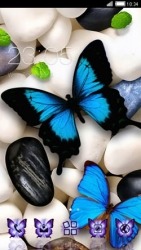 Butterfly CLauncher