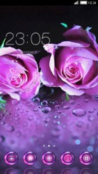 Violet Roses CLauncher