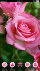 Pink Rose CLauncher