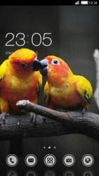 Love Birds CLauncher
