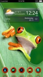 Green Frog CLauncher