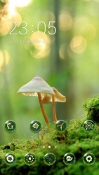 Mushrooms CLauncher