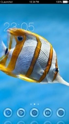 Butterfly Fish CLauncher