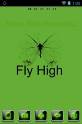 Fly High Go Launcher