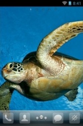 Sea Turtle Go Launcher