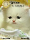 Cute Cat Nokia E51 camera-free Theme
