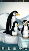 Penguins GO Launcher EX LG Optimus Pad Theme