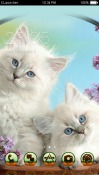 Cat CLauncher Android Mobile Phone Theme