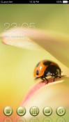 Ladybug CLauncher Android Mobile Phone Theme