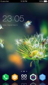 Dandelion CLauncher Samsung Galaxy M13 4G Theme