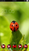 Red Bugs CLauncher Samsung Galaxy M13 4G Theme