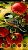 Bird CLauncher Android Mobile Phone Theme