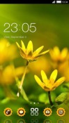 Yellow Flowers CLauncher Android Mobile Phone Theme