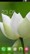 Simple Flower CLauncher Android Mobile Phone Theme