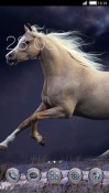 Horse CLauncher Android Mobile Phone Theme