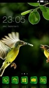 Hummingbird CLauncher Android Mobile Phone Theme