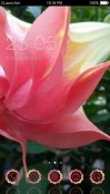 Pink Flower CLauncher Android Mobile Phone Theme