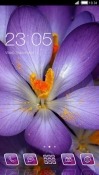 Purple Flower CLauncher Android Mobile Phone Theme