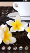 White Flowers CLauncher Android Mobile Phone Theme