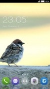 Finch CLauncher Android Mobile Phone Theme