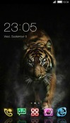 Tiger CLauncher Android Mobile Phone Theme
