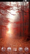 Red Forest CLauncher Android Mobile Phone Theme