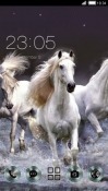 Horses CLauncher Android Mobile Phone Theme