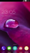 Purple Dew CLauncher Android Mobile Phone Theme