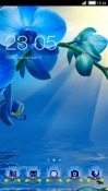 Blue Flowers CLauncher Android Mobile Phone Theme