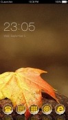 Autumn Leaf  CLauncher Android Mobile Phone Theme