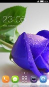 Purple Rose CLauncher Android Mobile Phone Theme