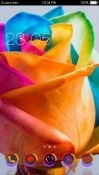 Colorful Flower CLauncher Android Mobile Phone Theme