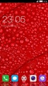 Red Dew CLauncher Android Mobile Phone Theme