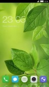 Leaf CLauncher Android Mobile Phone Theme