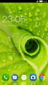 Leaf CLauncher Android Mobile Phone Theme