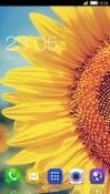 Sunflower CLauncher Android Mobile Phone Theme