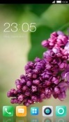 Violet Flowers CLauncher Android Mobile Phone Theme