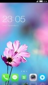 Pink Flower CLauncher Samsung Galaxy Rush M830 Theme