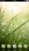 Dew CLauncher Android Mobile Phone Theme