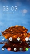 Leaf Autumn CLauncher Android Mobile Phone Theme
