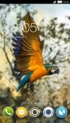 Parrot CLauncher Android Mobile Phone Theme