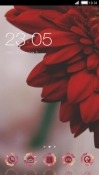 Red Flowers CLauncher Android Mobile Phone Theme