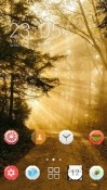 Forest CLauncher Android Mobile Phone Theme