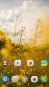 Field CLauncher Android Mobile Phone Theme