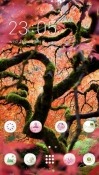 Tree CLauncher Samsung Galaxy Rush M830 Theme