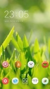 Green Leaves CLauncher Android Mobile Phone Theme