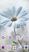White Flower CLauncher Android Mobile Phone Theme