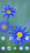 Blue Flowers CLauncher Samsung Galaxy Rush M830 Theme