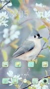 Robin CLauncher Android Mobile Phone Theme
