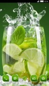 Lime CLauncher Android Mobile Phone Theme